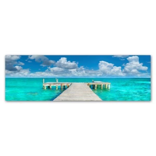 Doug Cavanah 'In No Hurry' Canvas Art, 16x47, Trademark Fine Art, Mfr#: ALI16691-C1647GG